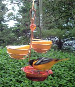 Triple Oriole Feeder