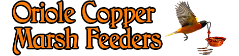 Oriole Copper Marsh Feeders